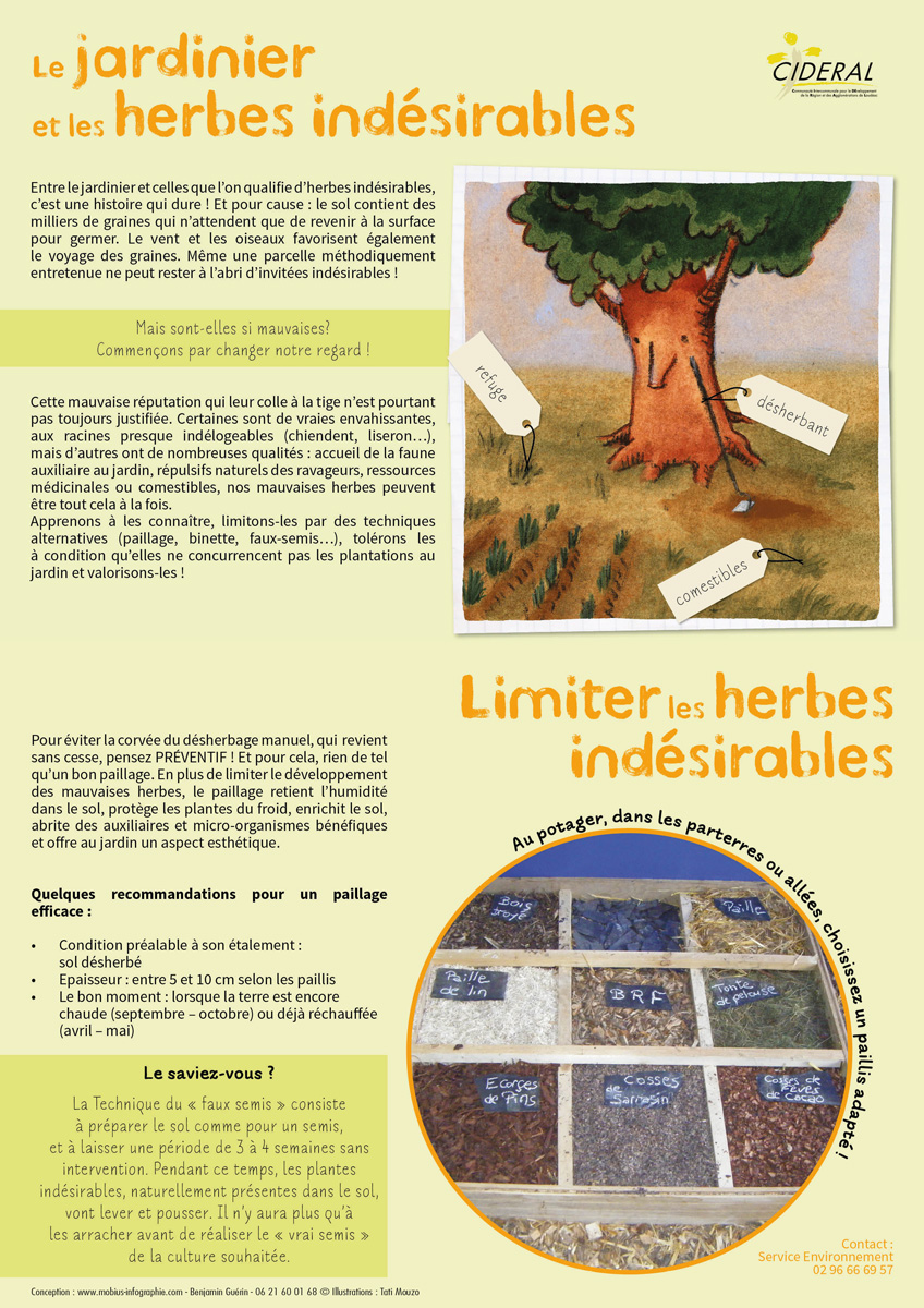 fiche-herbes-indesirables-1