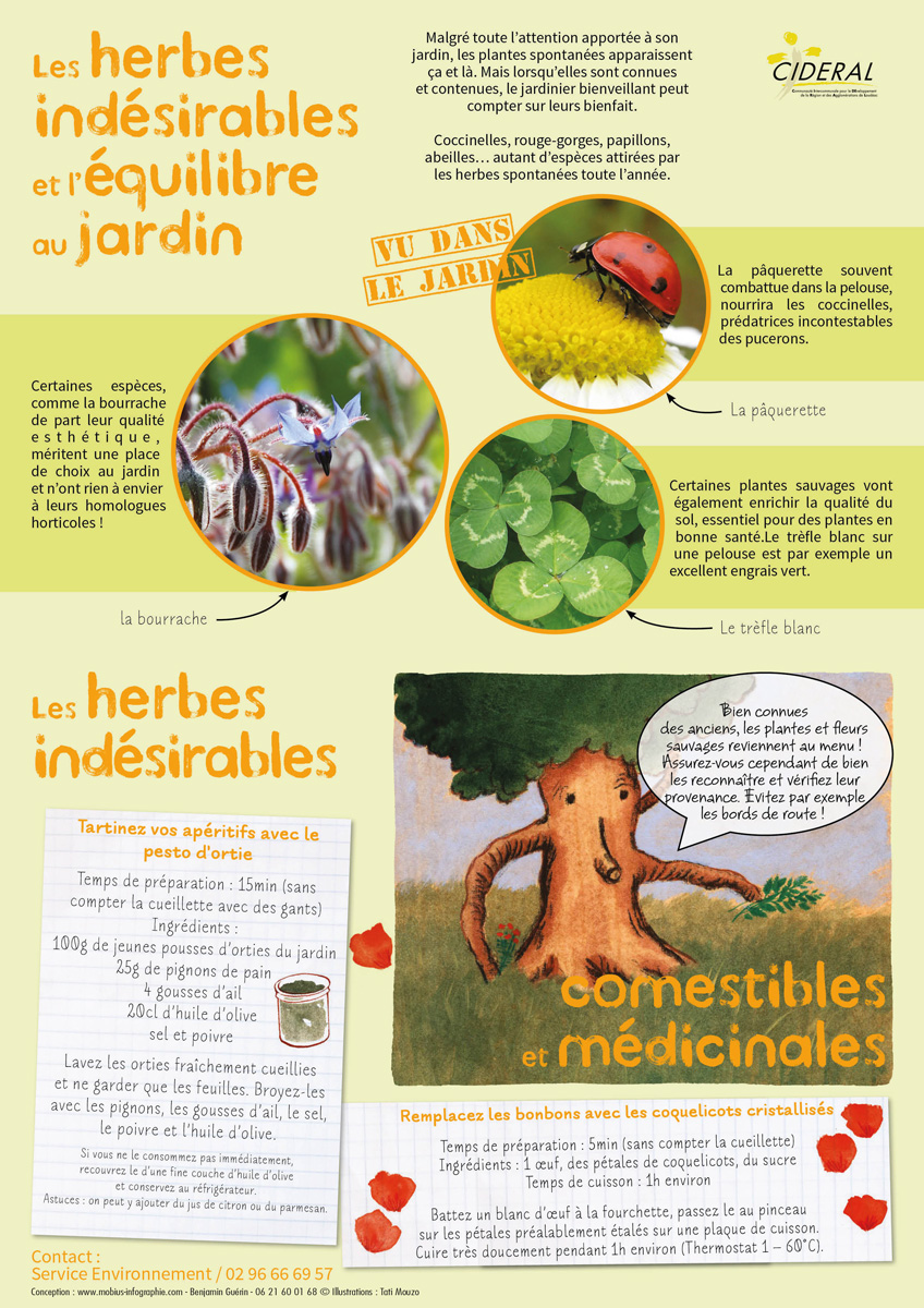 fiche-herbes-indesirables-2